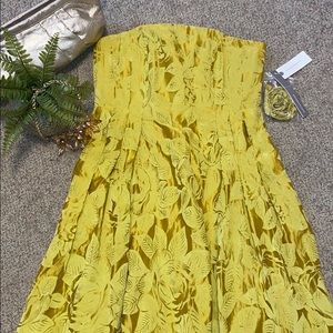 🆕 Anthropologie Jonquil Midi Dress